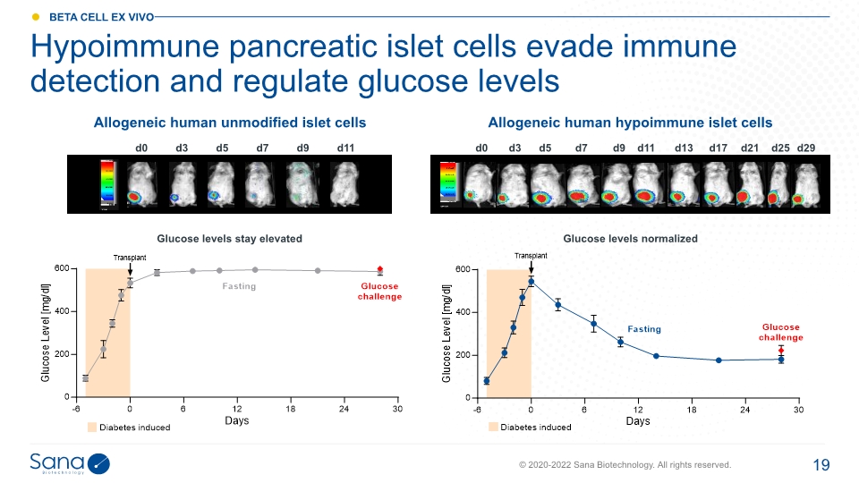 Slide 19