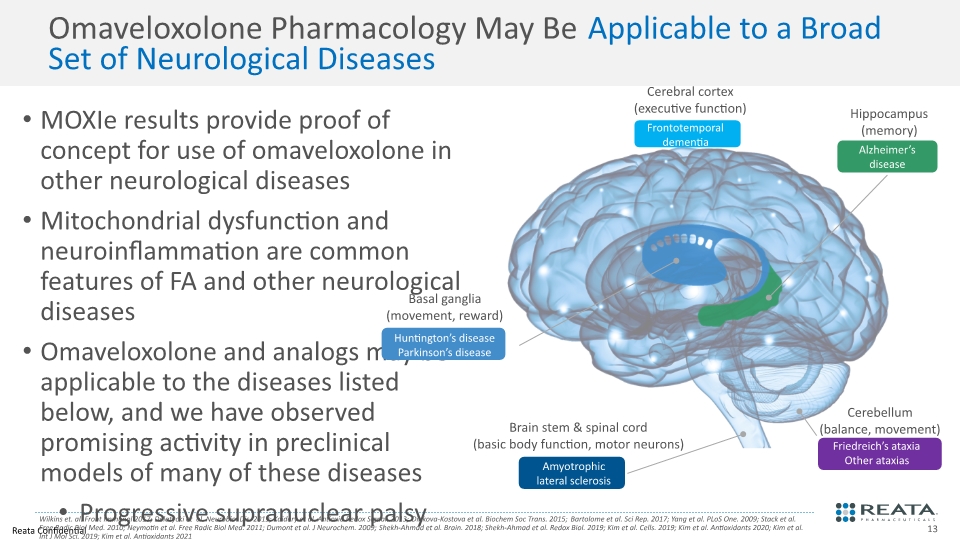 Slide 13