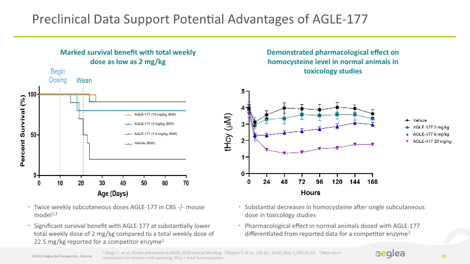 Slide 23