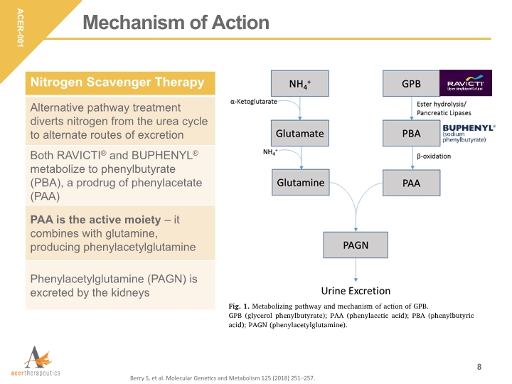 Slide 8