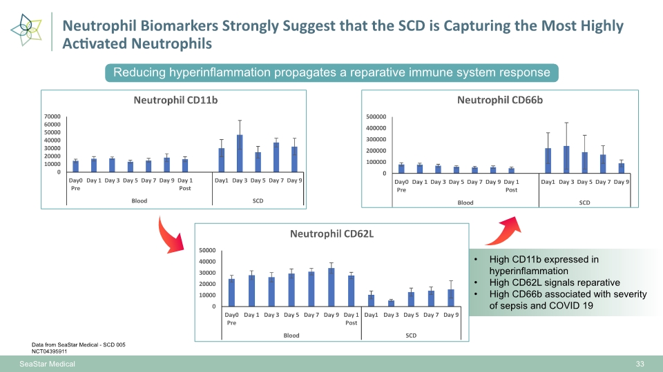 Slide 33