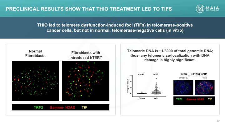 Slide 23