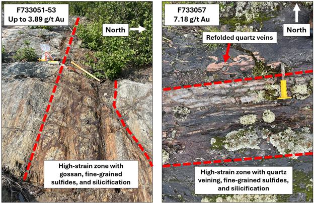 A comparison of rocks and plants

Description automatically generated