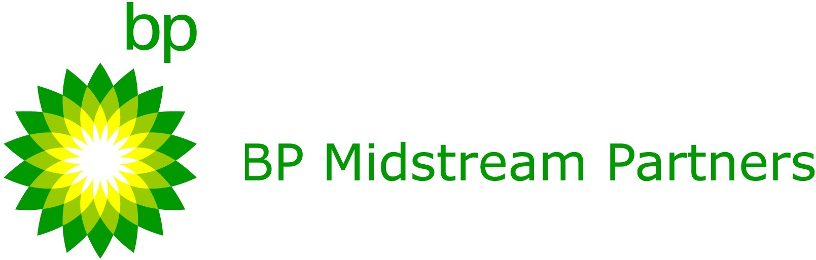 bpmplogo1.jpg