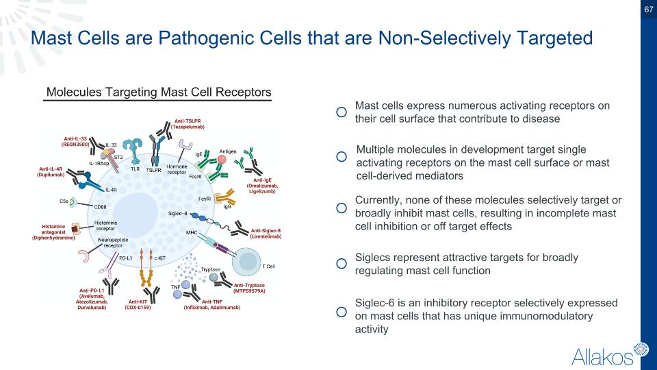 Slide 67