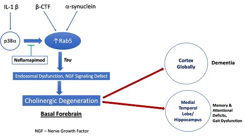 graph02.jpg