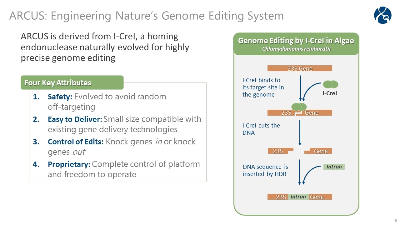 Slide 6