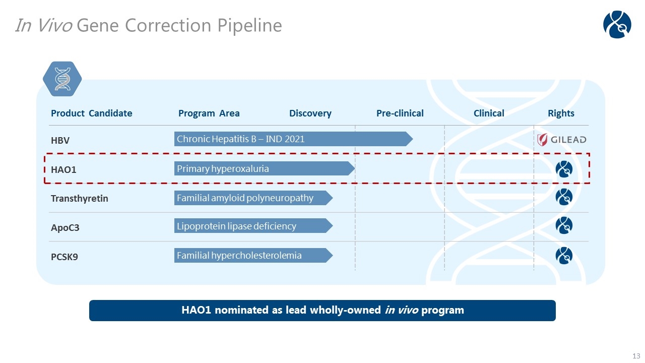 Slide 13