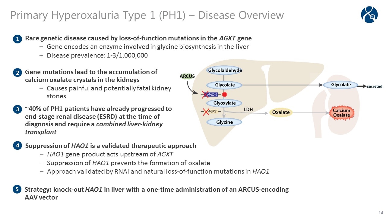 Slide 14