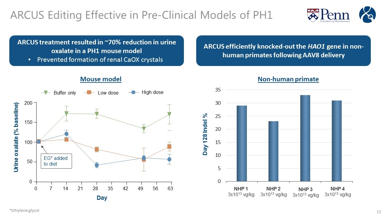 Slide 15