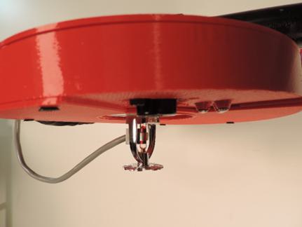 Close-up of a red guitar

Description automatically generated