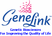 (GENELINK LOGO)