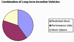 (Combination of Long-term Incentive Vehicles)