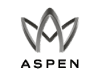 (ASPEN LOGO)