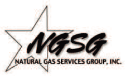 (NSGS LOGO)