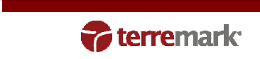 (Terremark logo)
