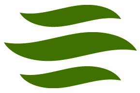 ensignlogo-wavesa.jpg