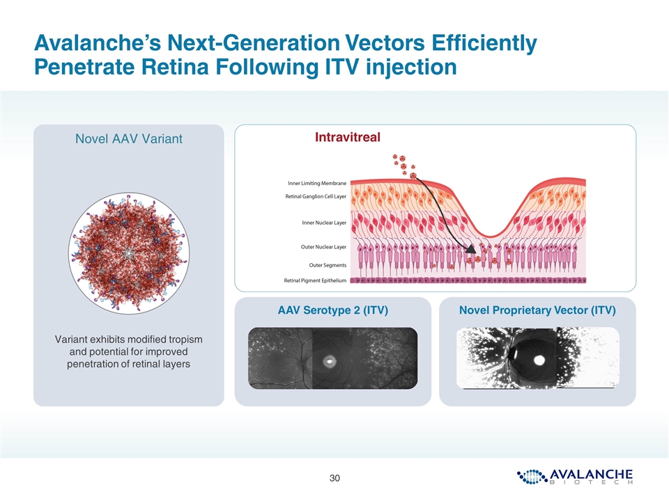 Slide 30