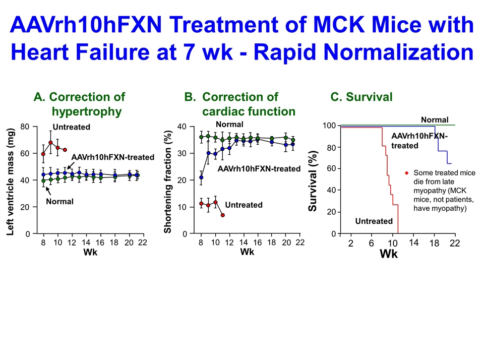 Slide 26