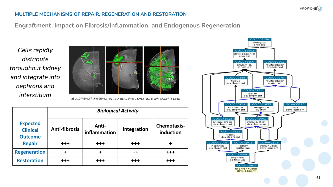 Slide 28