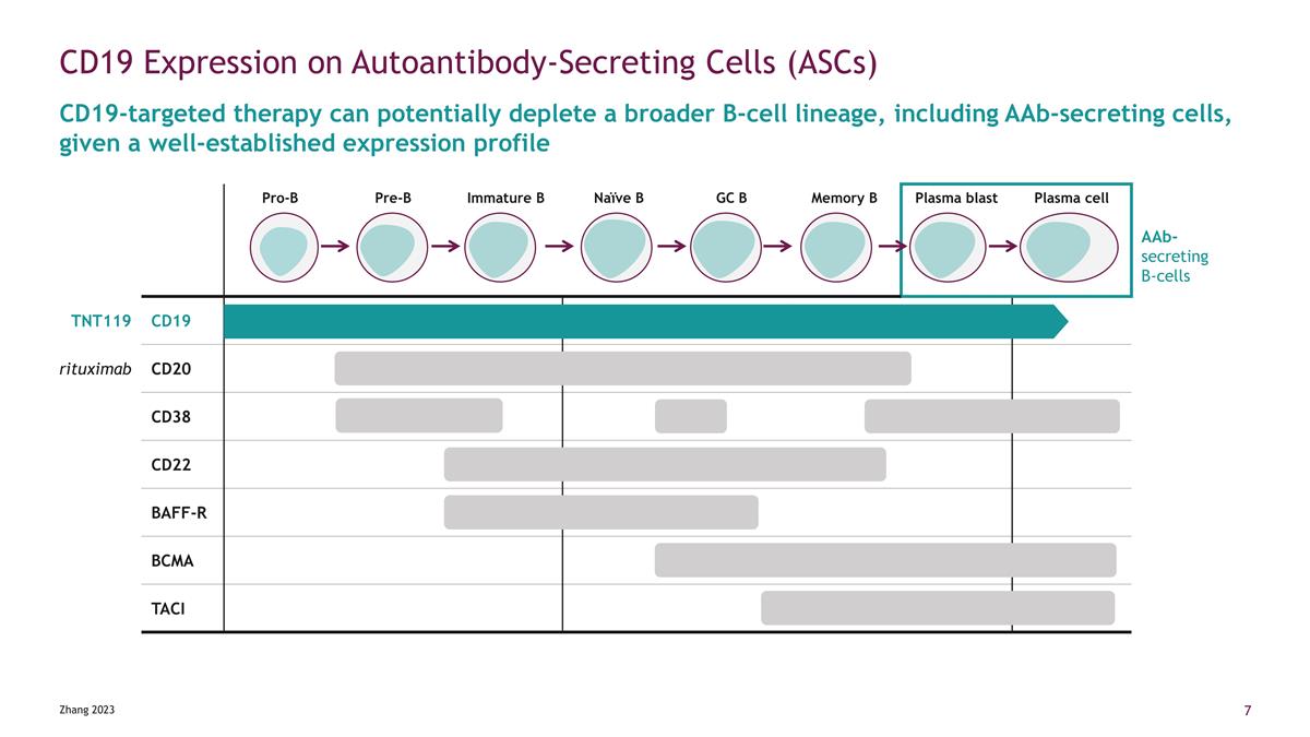 Slide 7