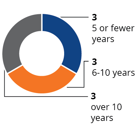 piechart_balancedtenure1a.jpg