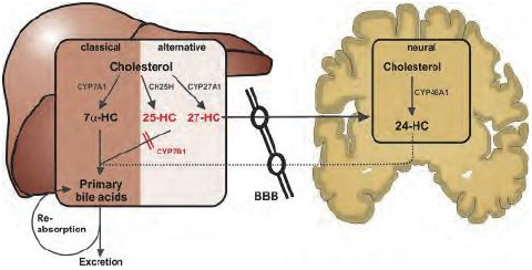 [MISSING IMAGE: tm2036979d1-pht_class4clr.jpg]