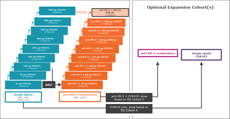 [MISSING IMAGE: tm2036979d1-pht_option4clr.jpg]