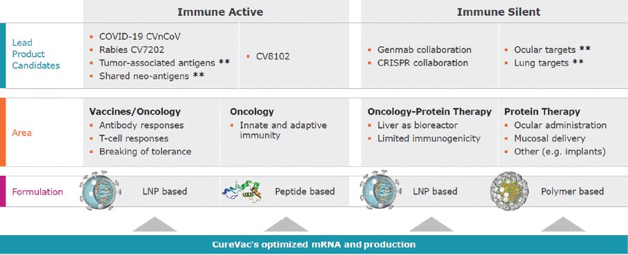 [MISSING IMAGE: tm2036979d1-pht_rabies4clr.jpg]