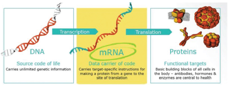 [MISSING IMAGE: tm2036979d1-pht_role4clr.jpg]