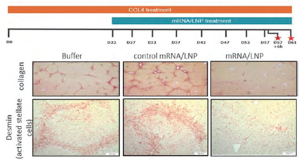 [MISSING IMAGE: tm2036979d1-pht_treat4clr.jpg]