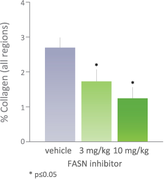 [MISSING IMAGE: tm218447d1-bc_collagen4c.jpg]