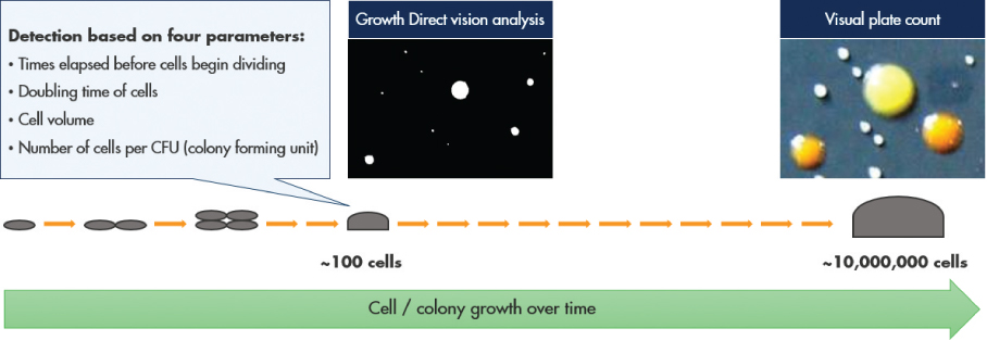 [MISSING IMAGE: tm219739d1-ph_analysis4clr.jpg]