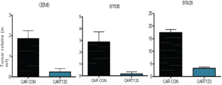 [MISSING IMAGE: tm218551d1-bc_cartcells4clr.jpg]