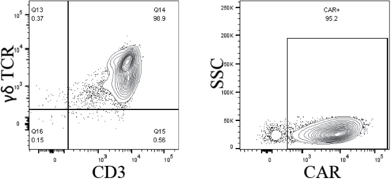 [MISSING IMAGE: tm218551d1-lc_differentbwlr.jpg]