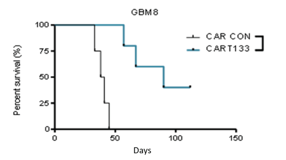 [MISSING IMAGE: tm218551d1-lc_tumor4clr.jpg]