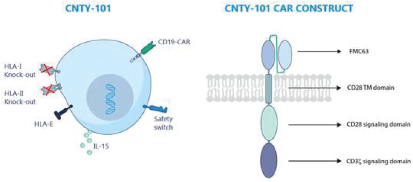 [MISSING IMAGE: tm218551d1-ph_carconst4clr.jpg]