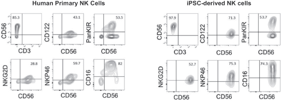 [MISSING IMAGE: tm218551d1-ph_phenotypebwlr.jpg]