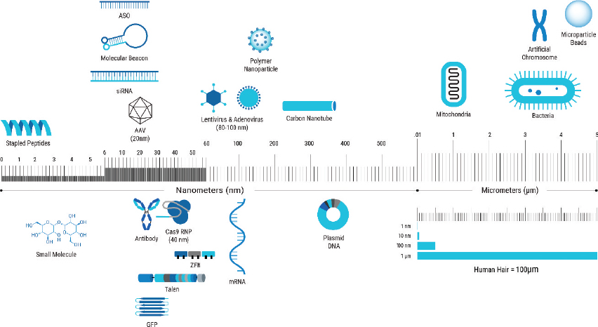 [MISSING IMAGE: tm2113965d1-pht_cellul4clr.jpg]