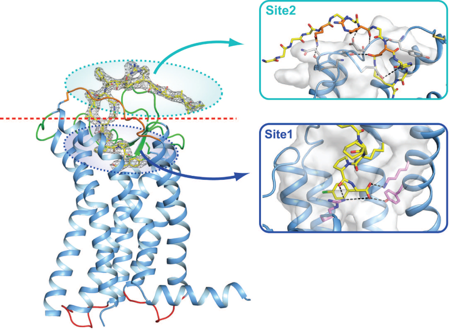 [MISSING IMAGE: tm225197d1-org_figure54c.jpg]