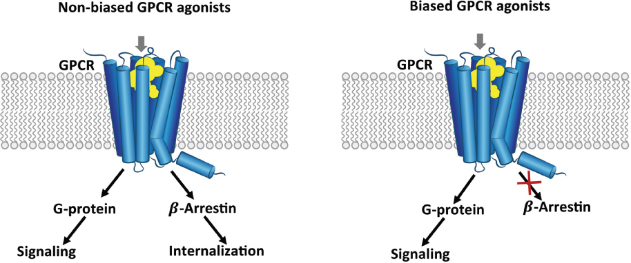 [MISSING IMAGE: tm225197d1-org_figure64c.jpg]