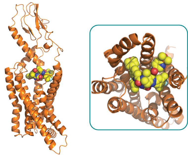 [MISSING IMAGE: tm225197d1-pht_figure124clr.jpg]