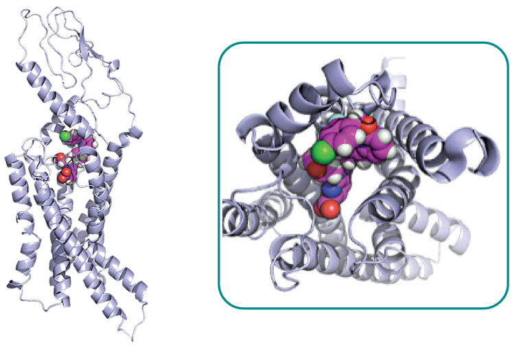 [MISSING IMAGE: tm225197d1-pht_figure154clr.jpg]