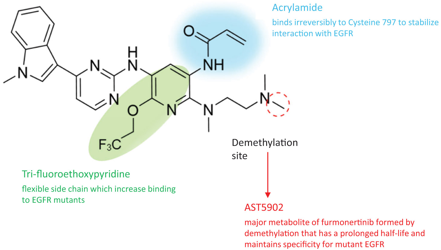 [MISSING IMAGE: fc_acrylamide-4clr.jpg]