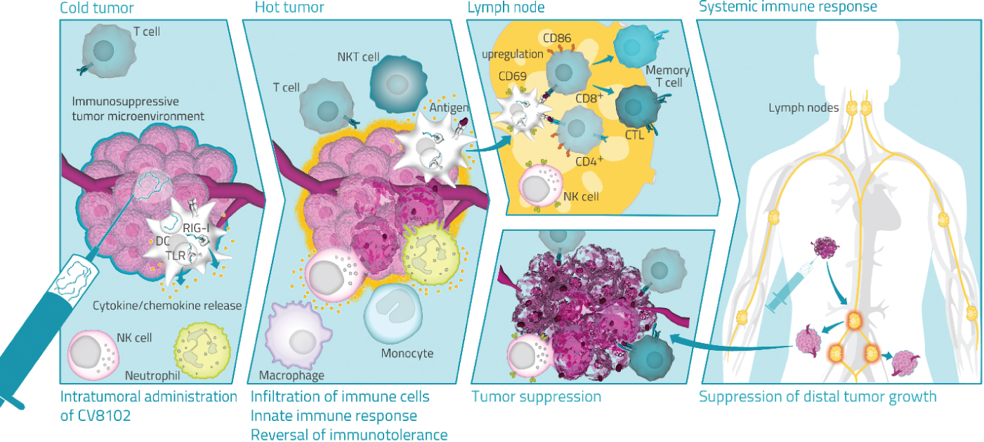 [MISSING IMAGE: tm2016252d3-ph_tumor4clr.jpg]