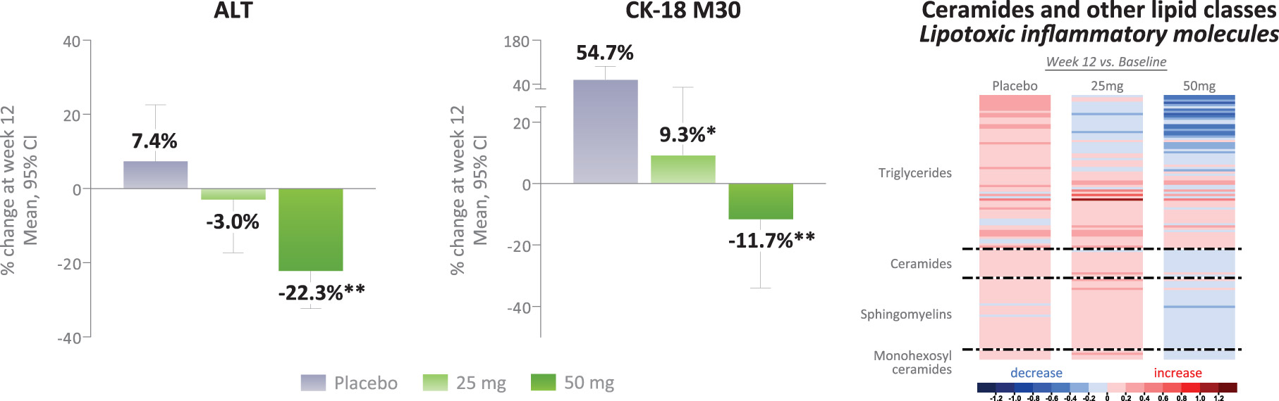 [MISSING IMAGE: bc_lipotoxicity-4c.jpg]