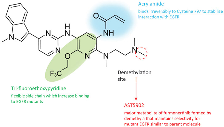 [MISSING IMAGE: fc_acrylamide-4clr.jpg]