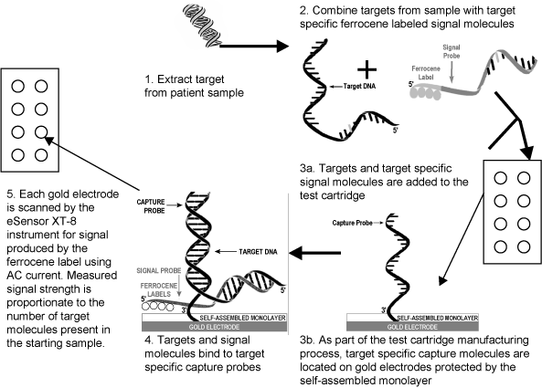 (Schematic eSensor)