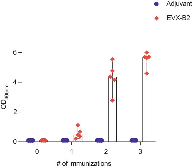 [MISSING IMAGE: lc_immunizations-4c.jpg]