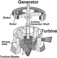 (PICTURE OF GENERATOR)